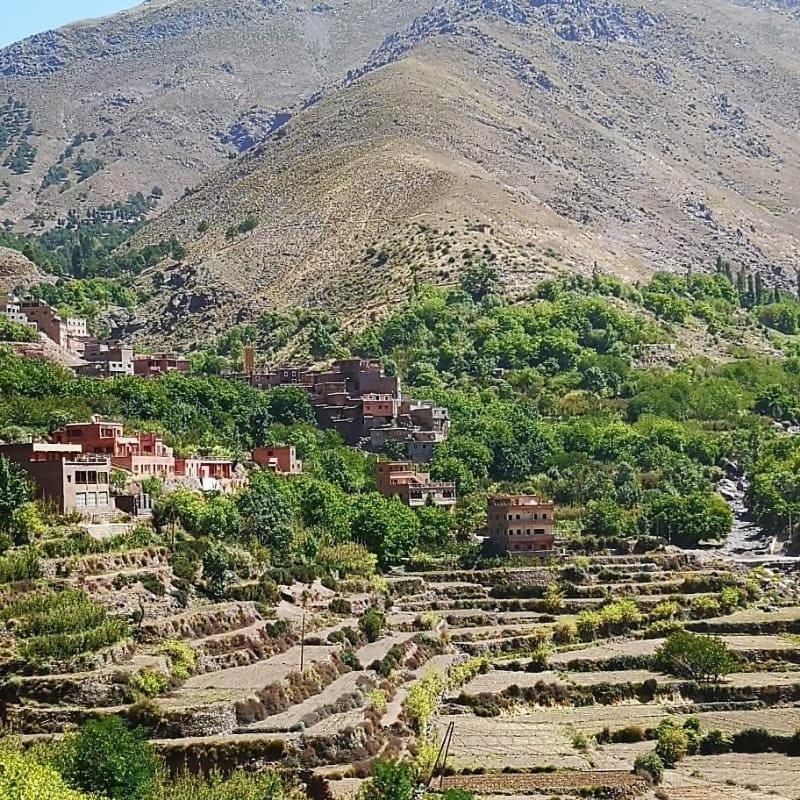 Toubkal Ecolodge Imlil  Exterior foto